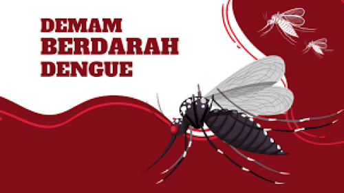 Cuaca Panas Bikin Ribuan Nyamuk BDB Mengganas