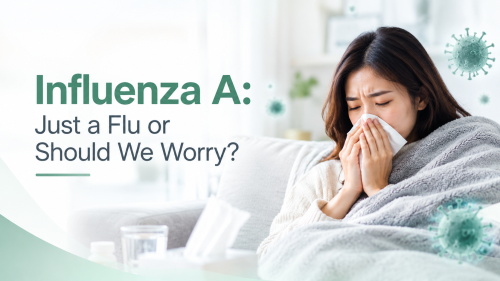 Influenza A: Just a Flu or Should We Worry?